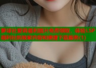 萝球社爱莉福利图片免费领取，体验LSP福利社的独家内容和便捷下载服务(1)