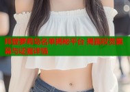 拜登萝莉岛名单揭秘平台 揭露权贵黑幕与证据详情