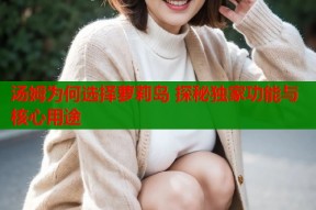 汤姆为何选择萝莉岛 探秘独家功能与核心用途