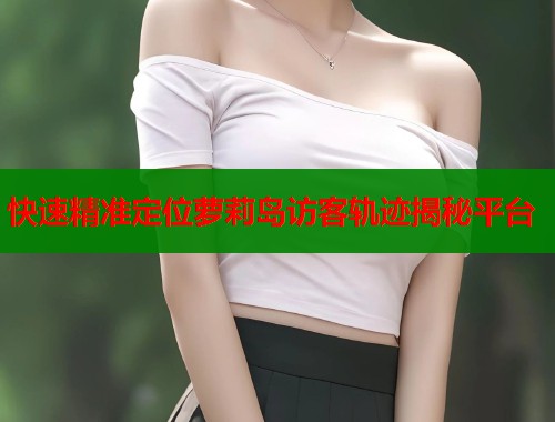 快速精准定位萝莉岛访客轨迹揭秘平台  第1张
