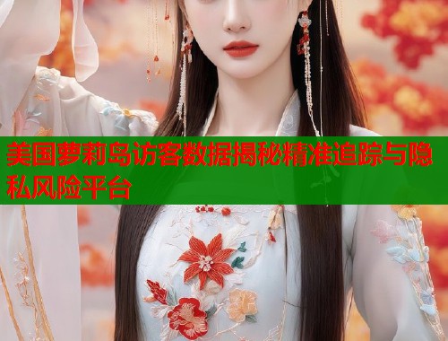 美国萝莉岛访客数据揭秘精准追踪与隐私风险平台 第1张 美国萝莉岛访客数据揭秘精准追踪与隐私风险平台 第1张